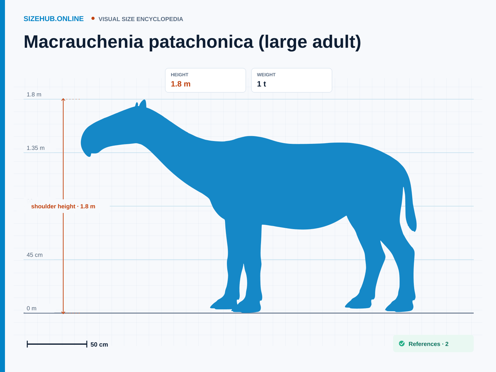 Macrauchenia patachonica (large adult): Size infographic · Height 1.8 m · Length 2.5 m