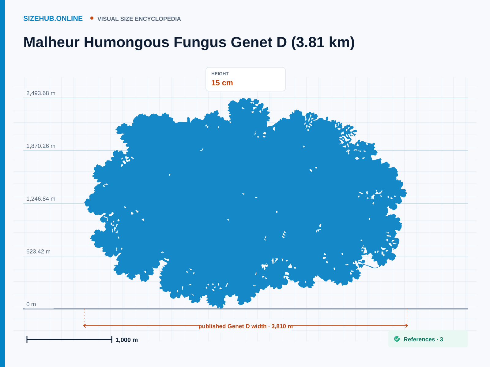 Malheur Humongous Fungus Genet D (3.81 km): Size infographic · Height 15 cm · Length 3,810 m · Width 2,532.81 m