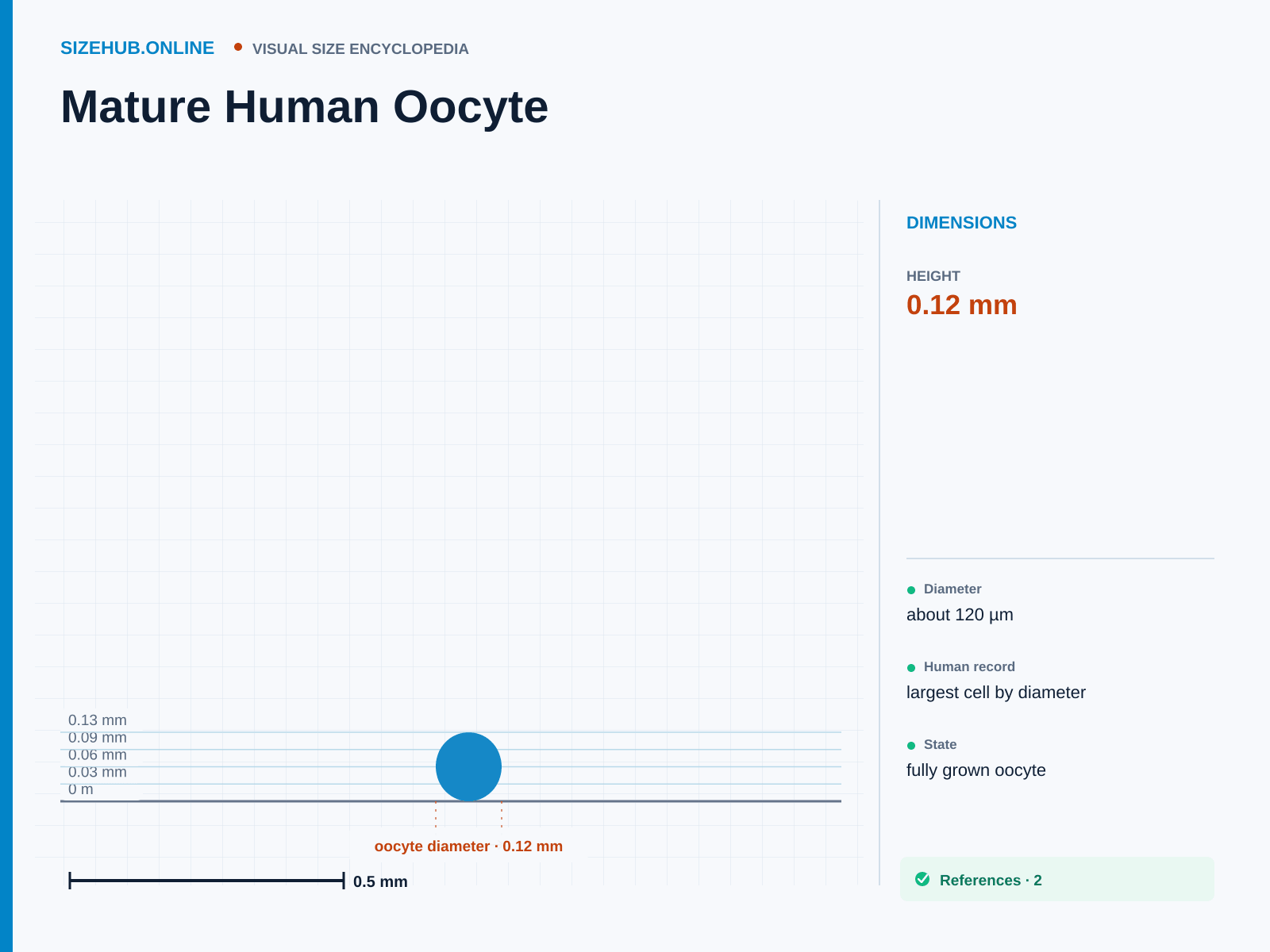 Mature Human Oocyte: Size infographic · Height 0.12 mm · Length 0.12 mm · Width 0.12 mm