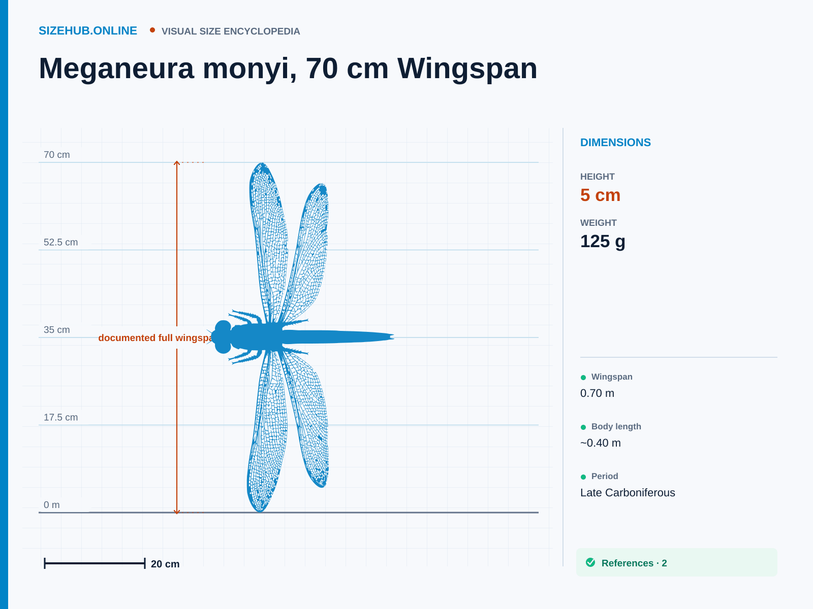 Meganeura monyi, 70 cm Wingspan: Size infographic · Height 5 cm · Length 40 cm · Width 70 cm