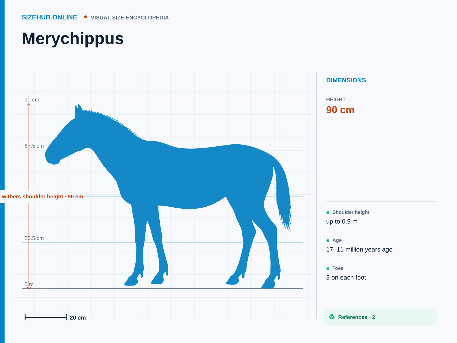 Merychippus: Size infographic · Height 90 cm