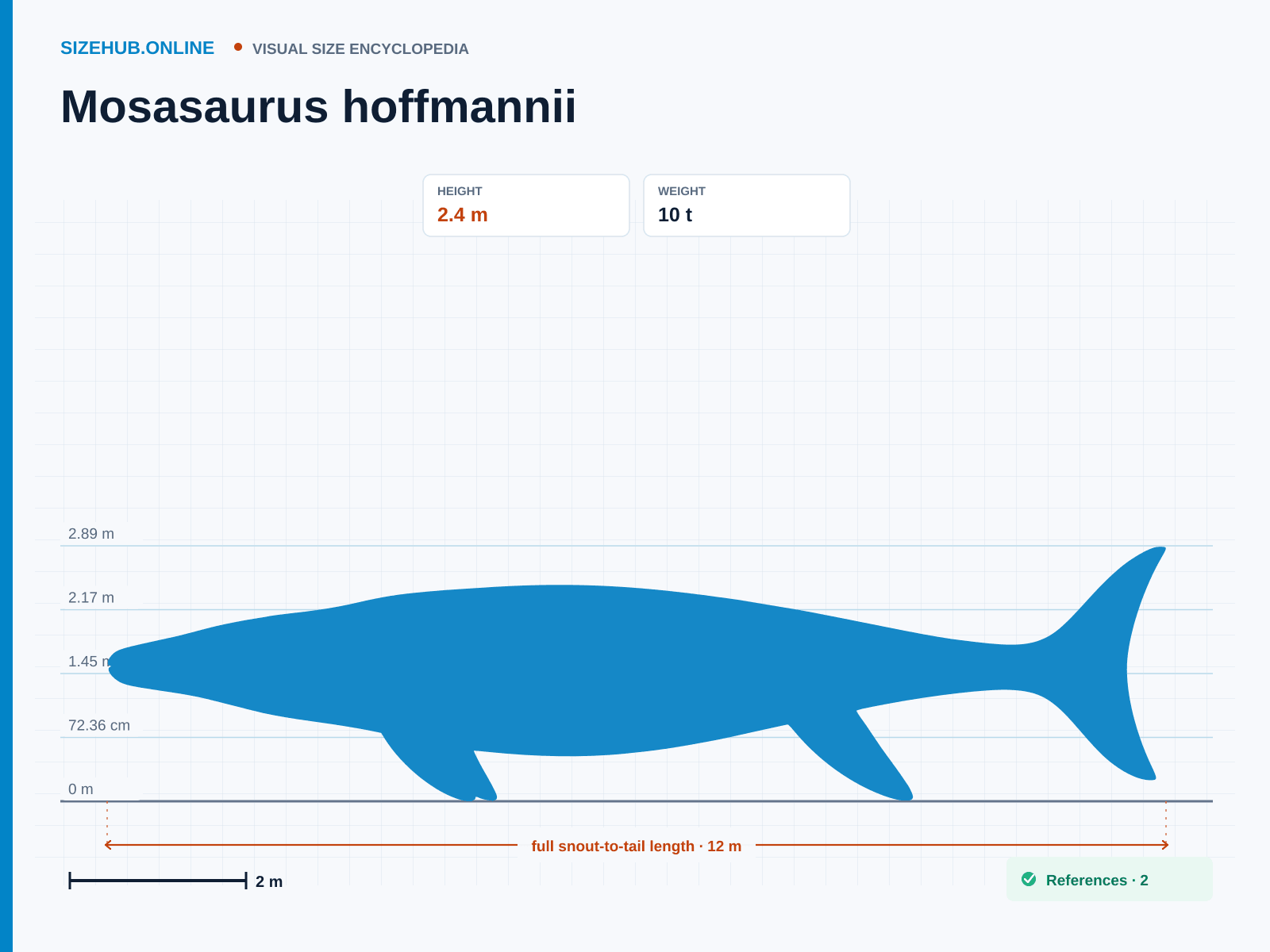 Mosasaurus hoffmannii: Size infographic · Height 2.4 m · Length 12 m