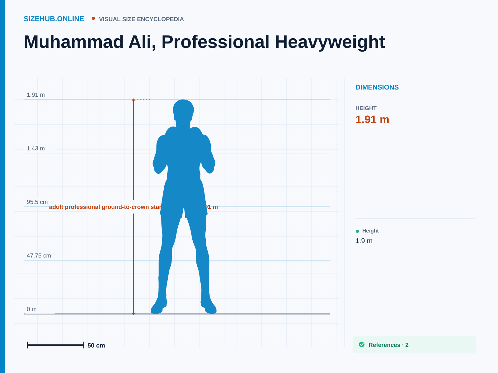 Muhammad Ali, Professional Heavyweight: Size infographic · Height 1.91 m