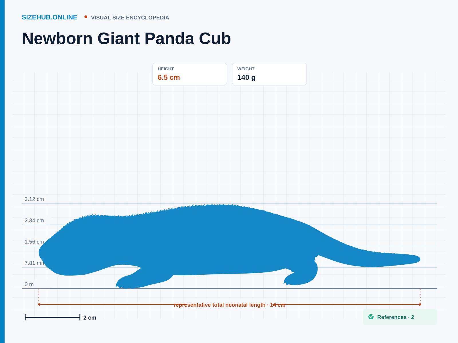 Newborn Giant Panda Cub: Size infographic · Height 6.5 cm · Length 14 cm