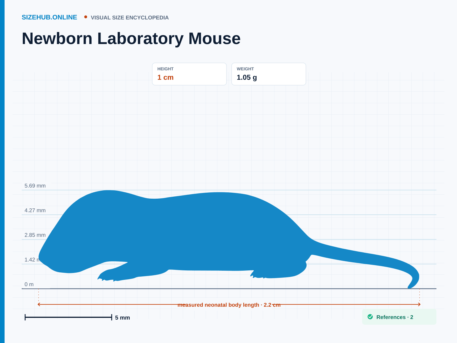 Newborn Laboratory Mouse: Size infographic · Height 1 cm · Length 2.2 cm