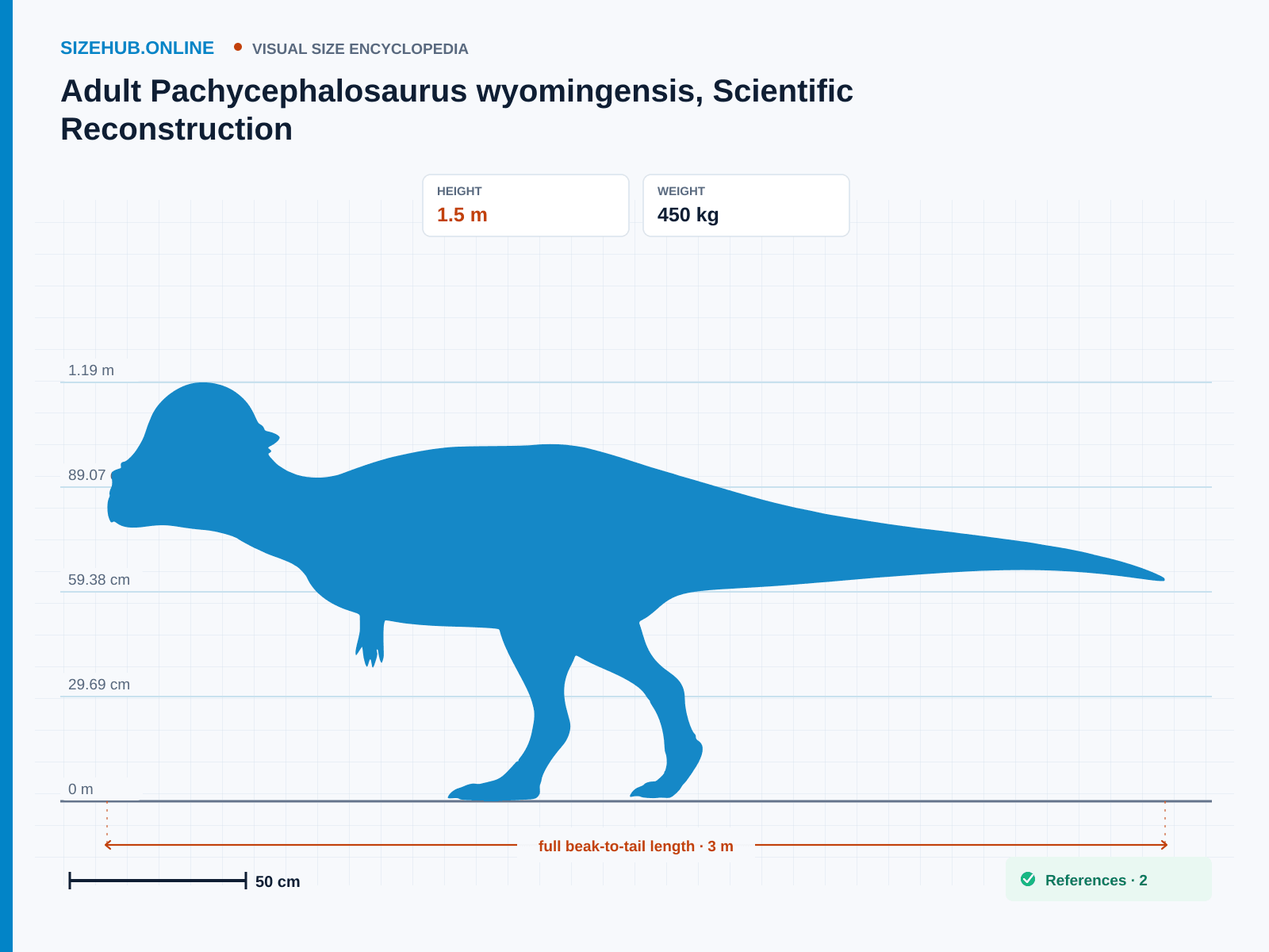 Adult Pachycephalosaurus wyomingensis, Scientific Reconstruction: Size infographic · Height 1.5 m · Length 3 m · Width 75 cm