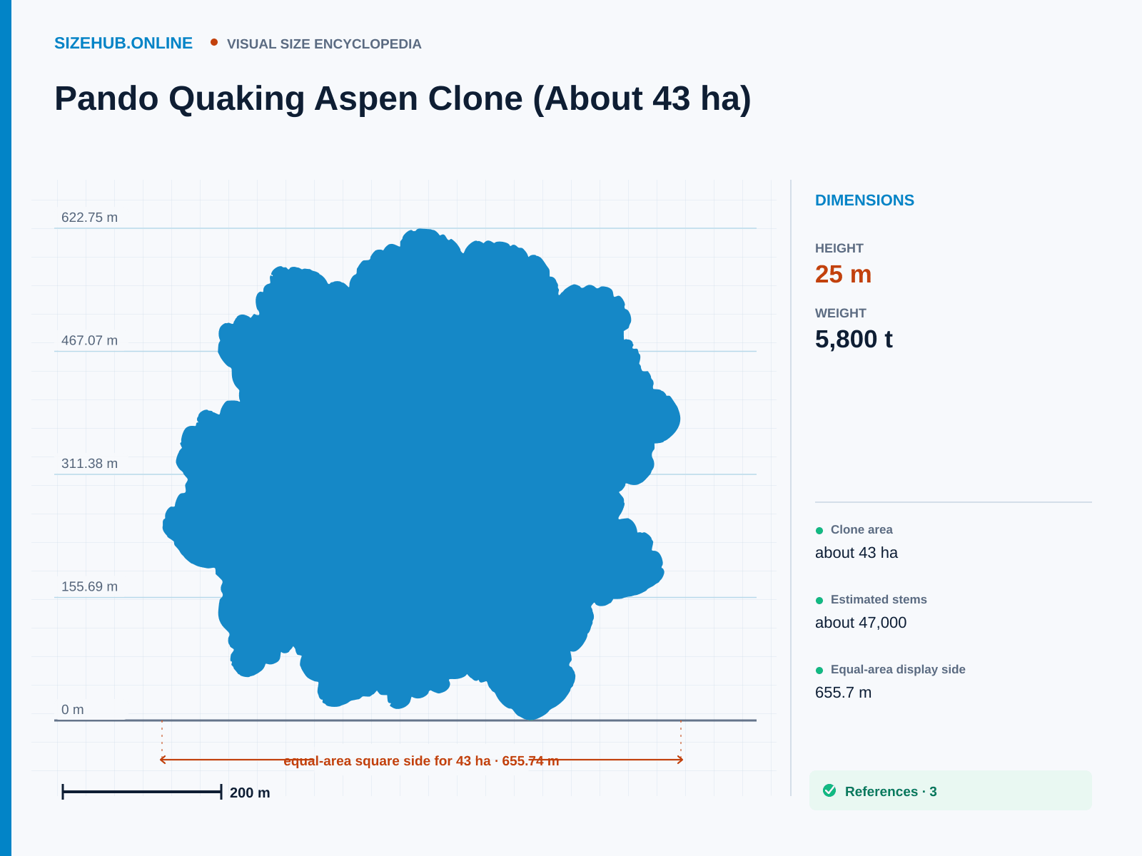 Pando Quaking Aspen Clone (About 43 ha): Size infographic · Height 25 m · Length 655.74 m · Width 655.74 m