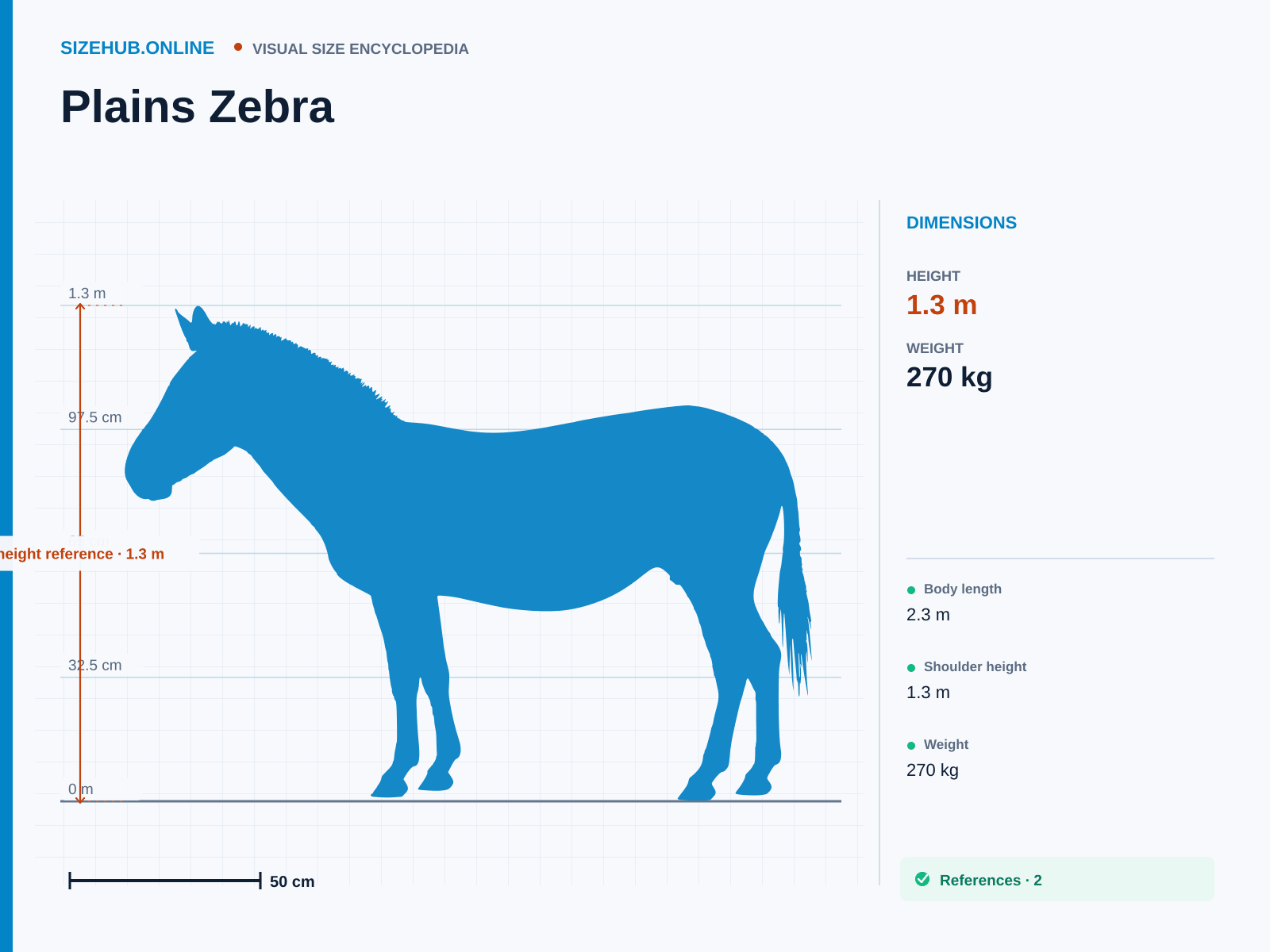 Plains Zebra: Size infographic · Height 1.3 m · Length 2.3 m