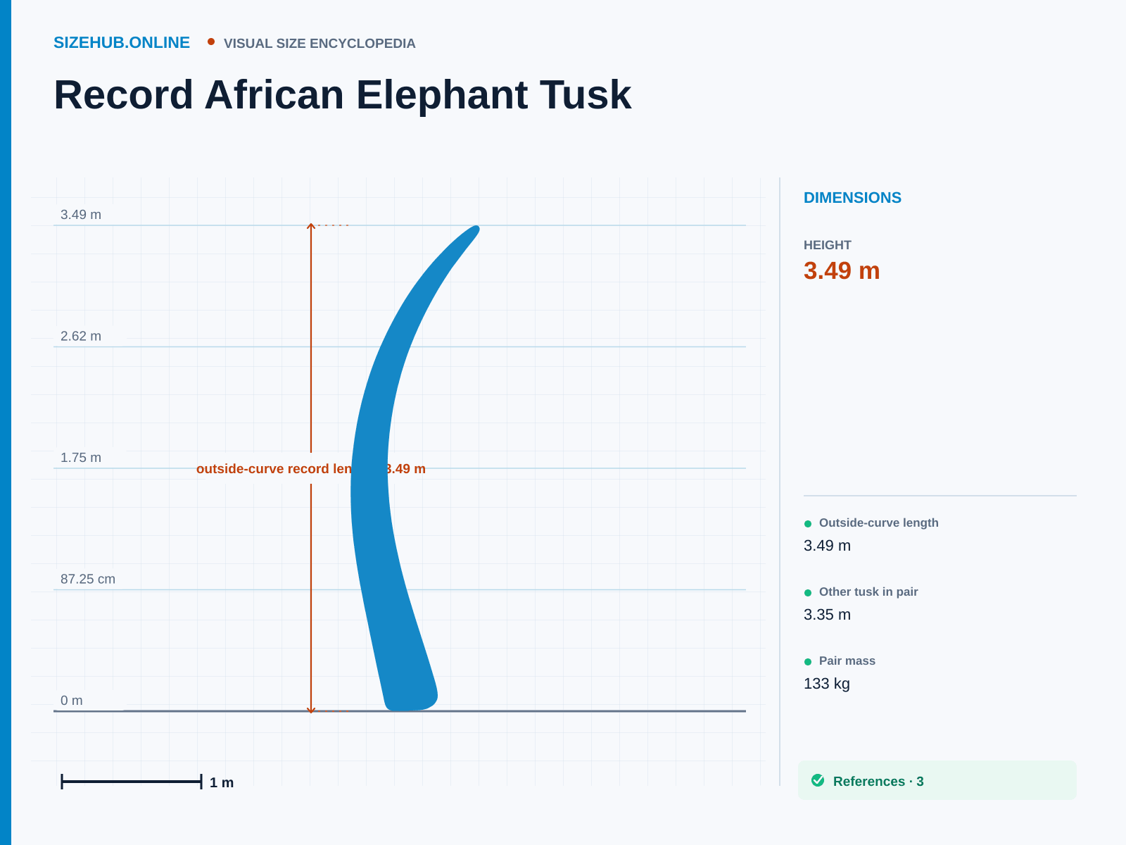 Record African Elephant Tusk: Size infographic · Height 3.49 m · Width 31 cm