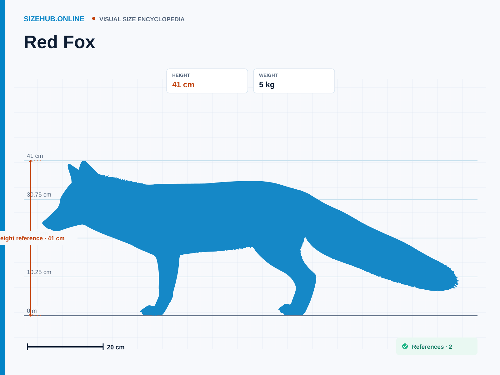 Red Fox: Size infographic · Height 41 cm · Length 1 m