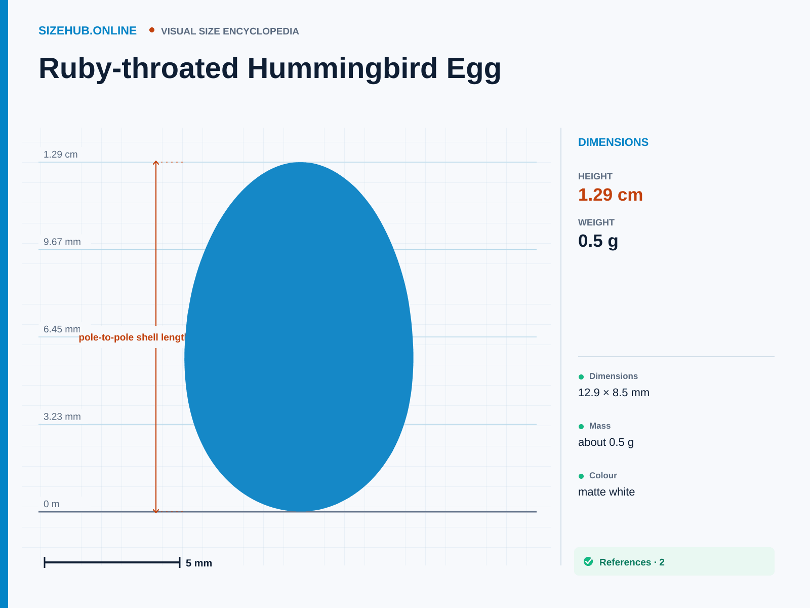 Ruby-throated Hummingbird Egg: Size infographic · Height 1.29 cm · Length 8.5 mm · Width 8.5 mm
