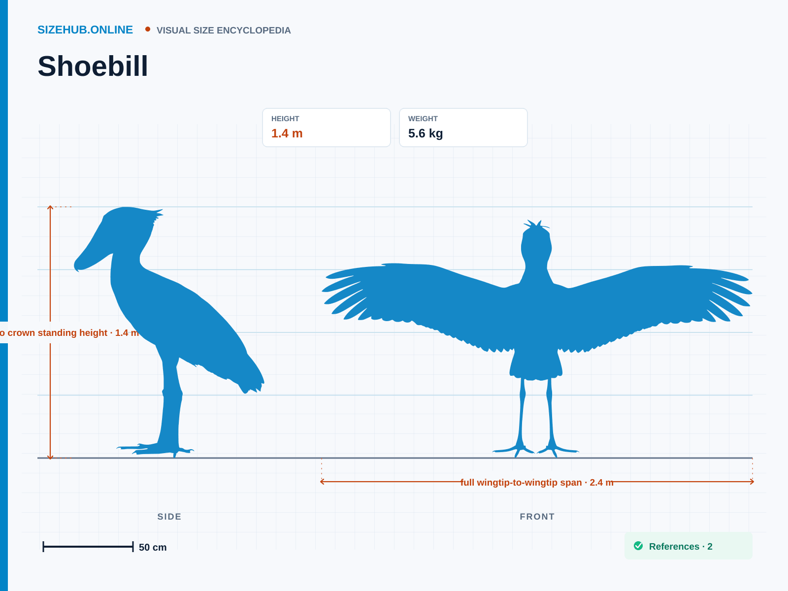 Shoebill: Size infographic · Height 1.4 m · Length 1.4 m · Width 2.4 m