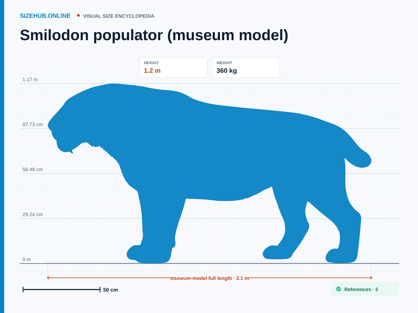Smilodon populator (museum model): Size infographic · Height 1.2 m · Length 2.1 m · Width 50 cm