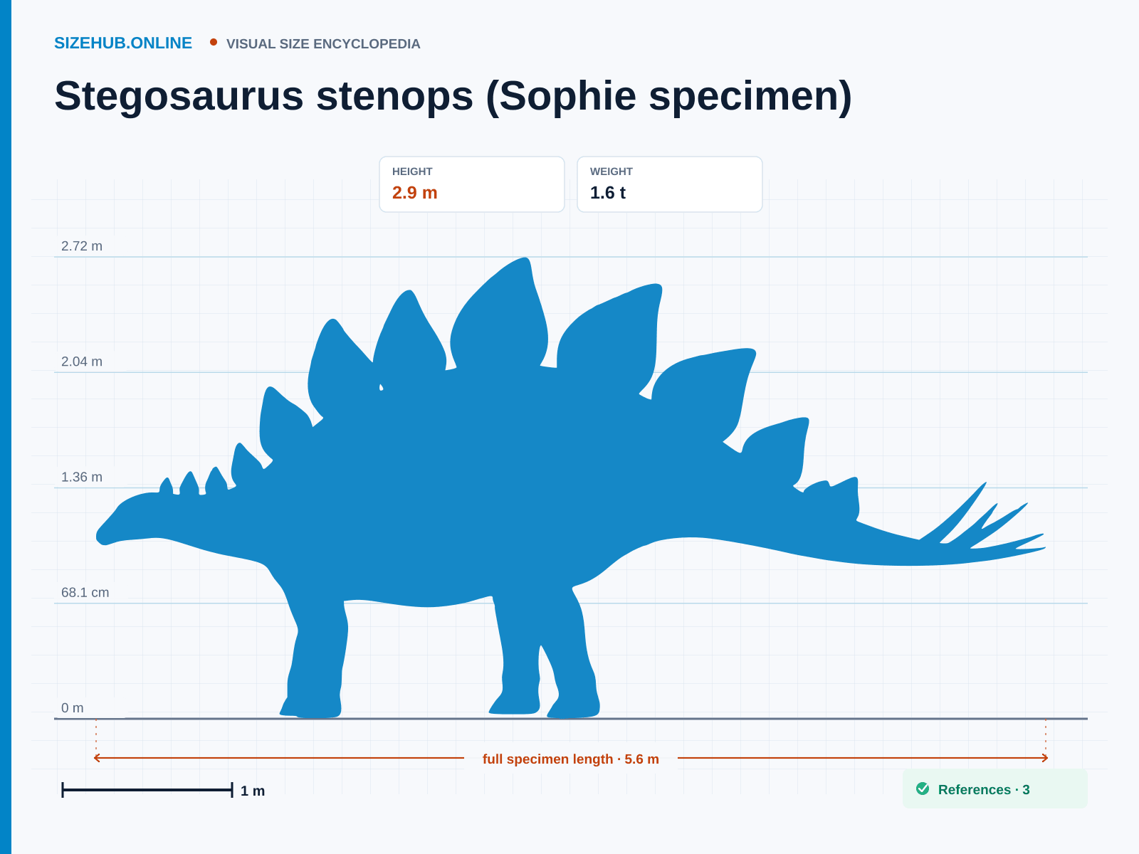 Stegosaurus stenops (Sophie specimen): Size infographic · Height 2.9 m · Length 5.6 m