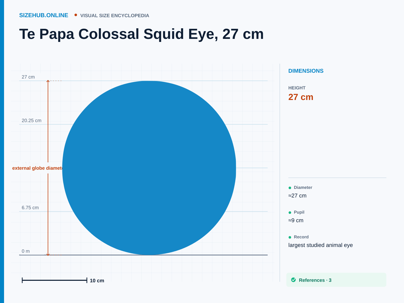 Te Papa Colossal Squid Eye, 27 cm: Size infographic · Height 27 cm · Length 27 cm · Width 27 cm