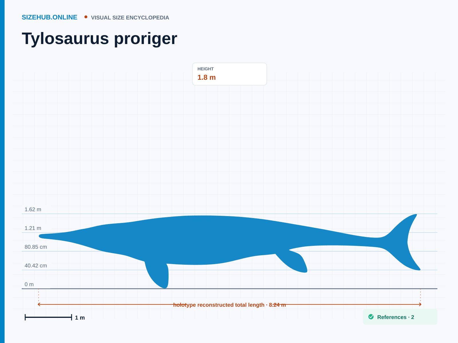 Tylosaurus proriger: Size infographic · Height 1.8 m · Length 8.24 m