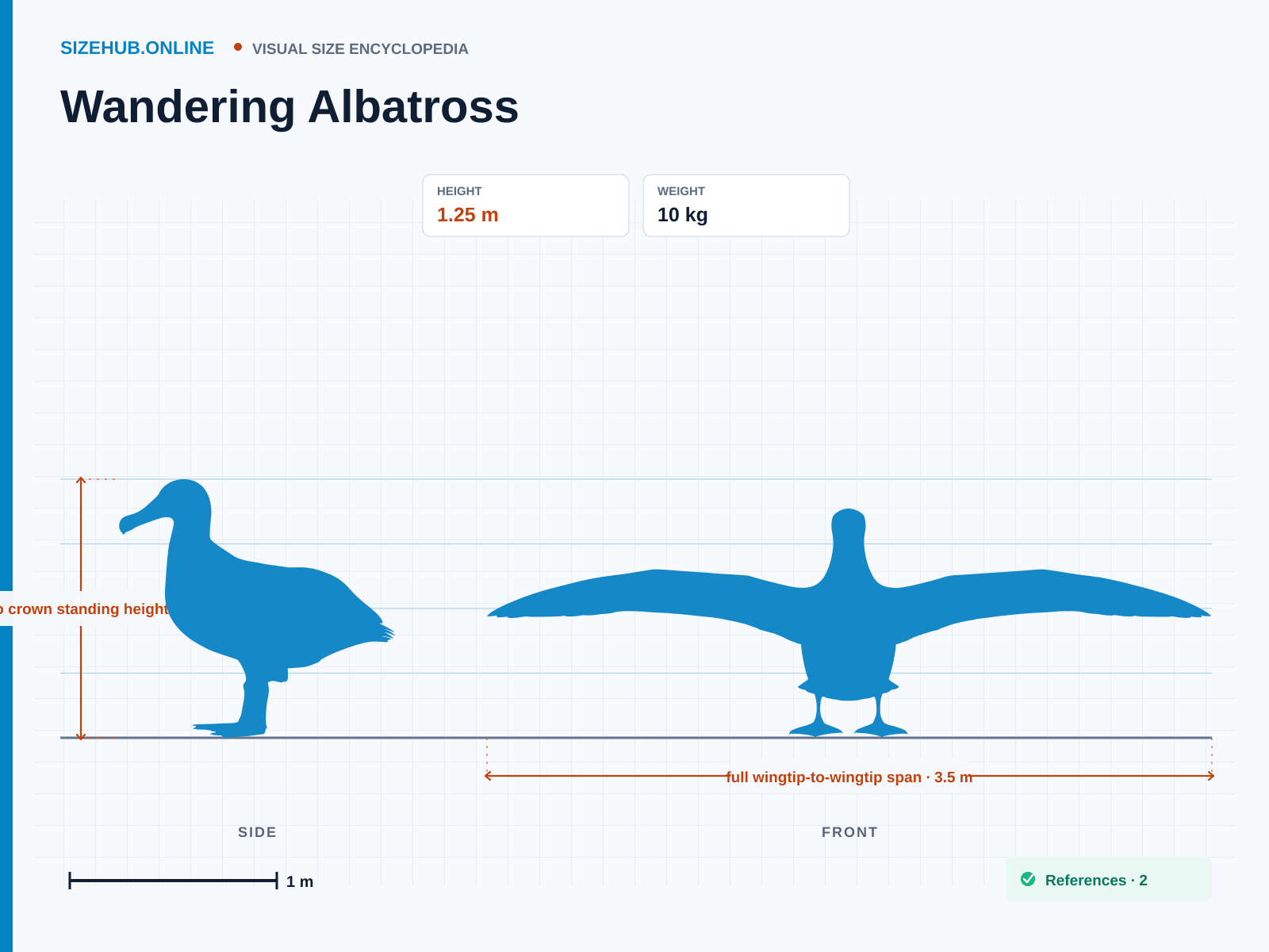 Wandering Albatross: Size infographic · Height 1.25 m · Length 1.25 m · Width 3.5 m