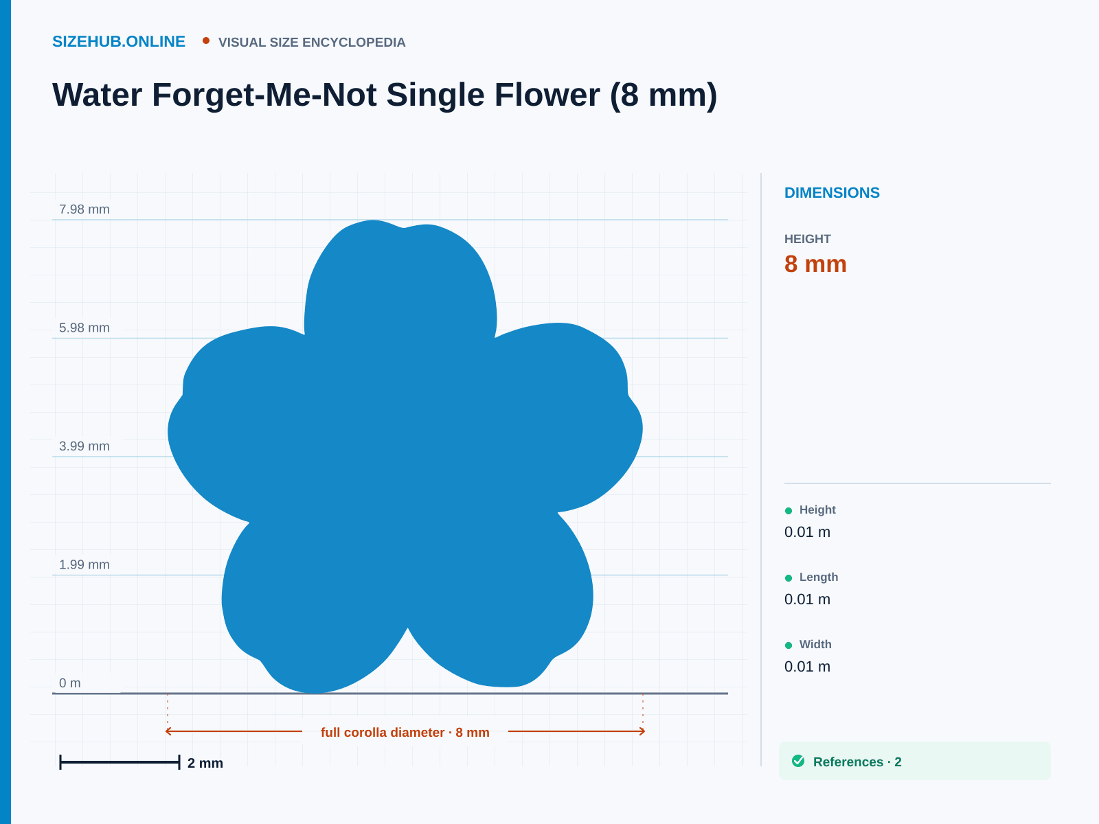 Water Forget-Me-Not Single Flower (8 mm): Size infographic · Height 8 mm · Length 8 mm · Width 8 mm