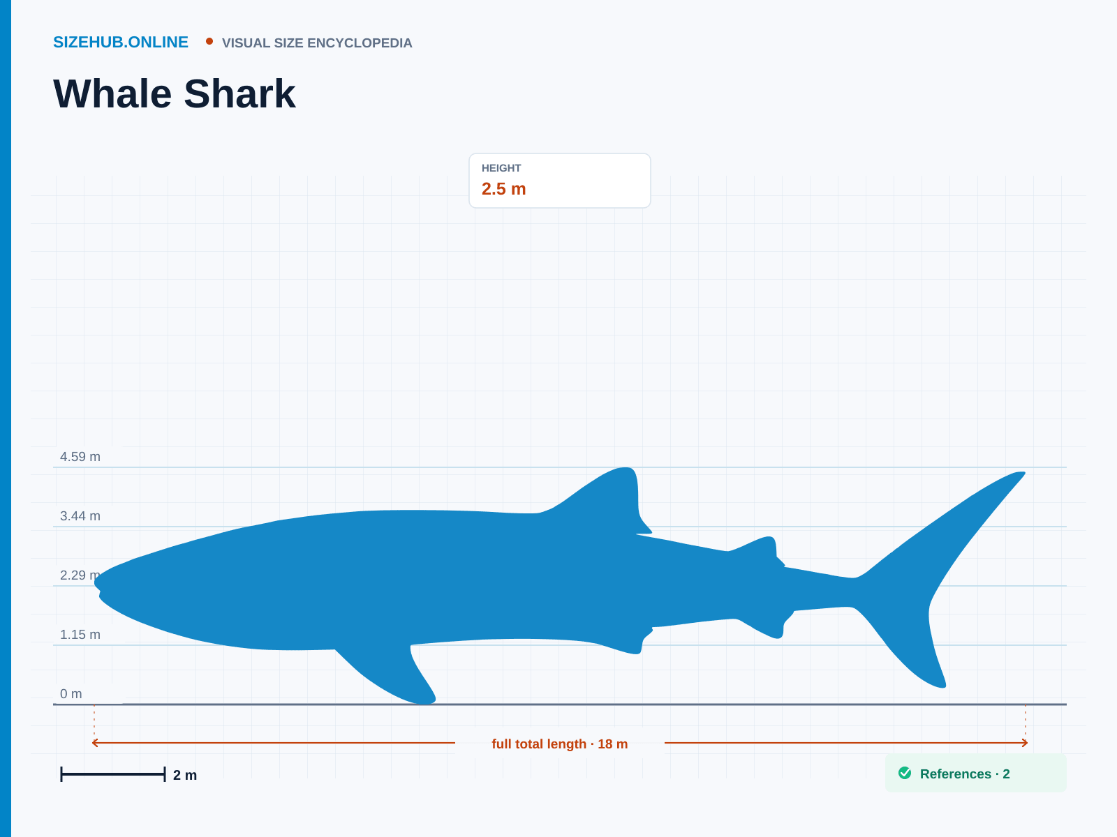 Whale Shark: Size infographic · Height 2.5 m · Length 18 m