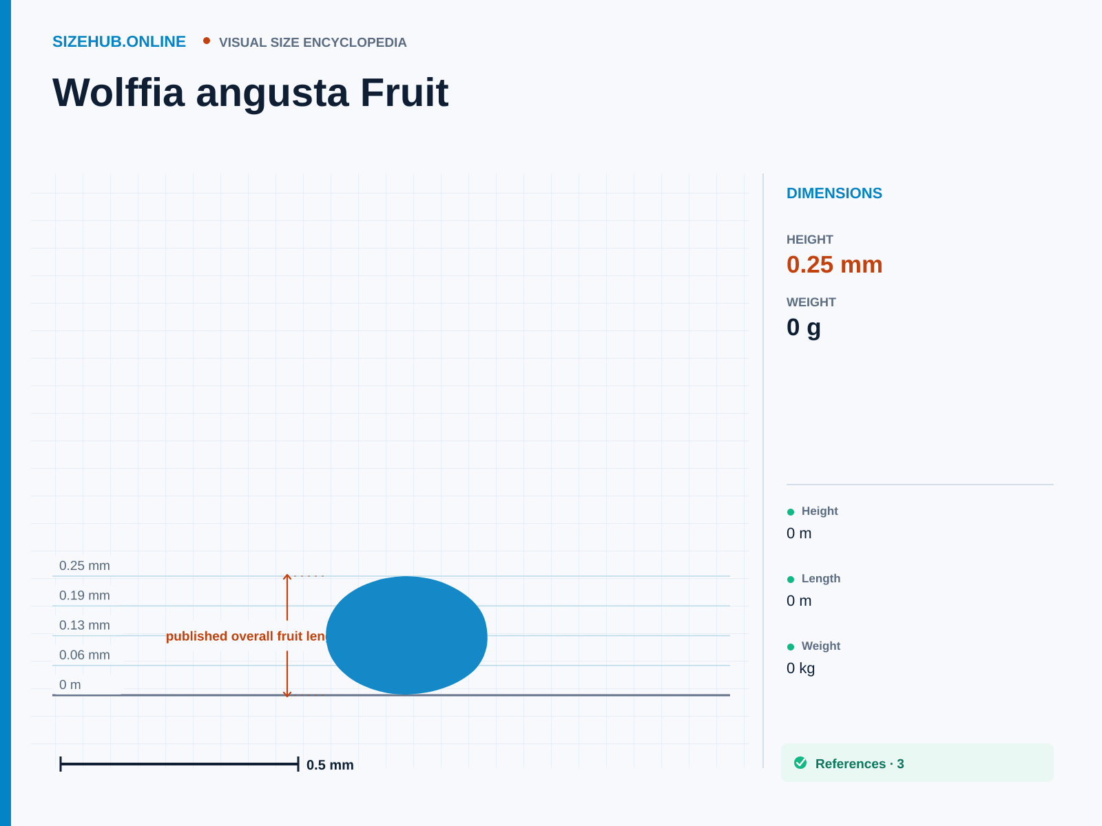 Wolffia angusta Fruit: Size infographic · Height 0.25 mm · Length 0.25 mm