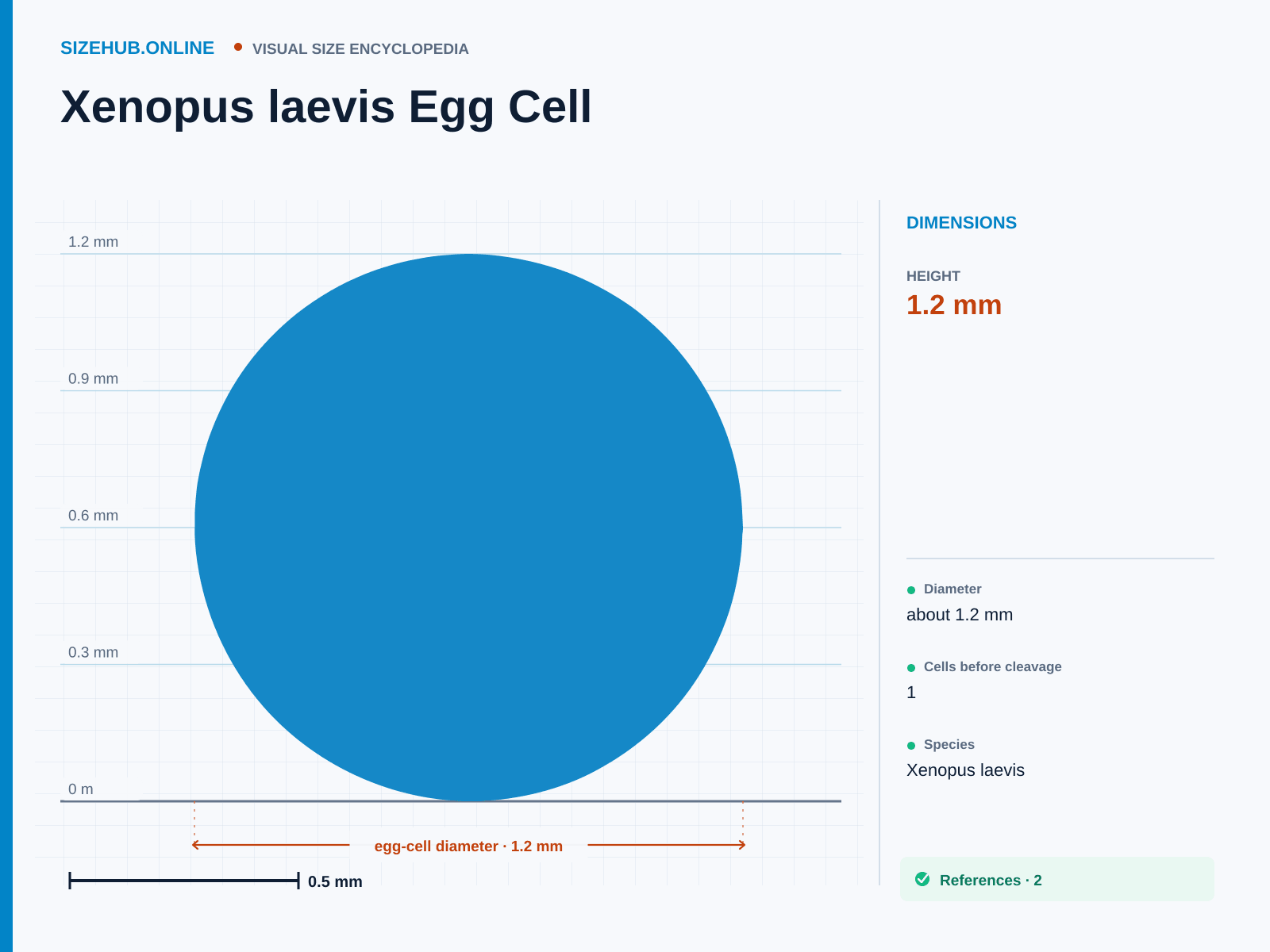 Xenopus laevis Egg Cell: Size infographic · Height 1.2 mm · Length 1.2 mm · Width 1.2 mm